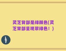 灵芝背部是绿颜色(灵芝背部呈现翠绿色！)