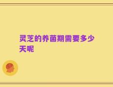 灵芝的养菌期需要多少天呢