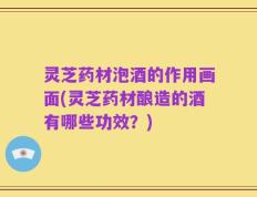 灵芝药材泡酒的作用画面(灵芝药材酿造的酒有哪些功效？)