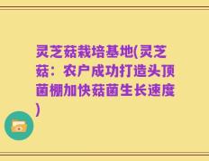 灵芝菇栽培基地(灵芝菇：农户成功打造头顶菌棚加快菇菌生长速度)