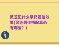 灵芝配什么草药最佳效果(灵芝最佳搭配草药有哪些？)