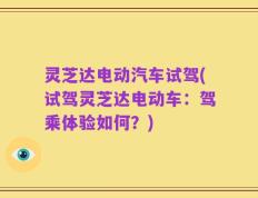 灵芝达电动汽车试驾(试驾灵芝达电动车：驾乘体验如何？)