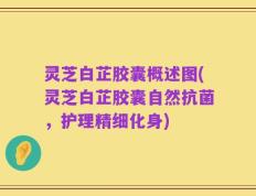 灵芝白芷胶囊概述图(灵芝白芷胶囊自然抗菌，护理精细化身)