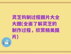 灵芝钩制过程图片大全大图(全面了解灵芝的制作过程，欣赏精美图片)