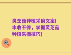 灵芝菇种植采摘文案(丰收不停，掌握灵芝菇种植采摘技巧)
