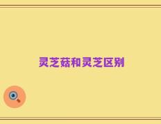 灵芝菇和灵芝区别