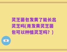 灵芝菌包发黄了能长出灵芝吗(用发黄灵芝菌包可以种植灵芝吗？)
