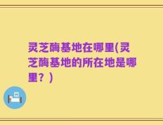 灵芝酶基地在哪里(灵芝酶基地的所在地是哪里？)