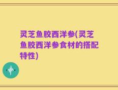 灵芝鱼胶西洋参(灵芝鱼胶西洋参食材的搭配特性)