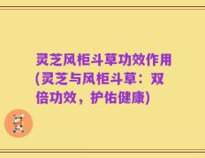 灵芝风柜斗草功效作用(灵芝与风柜斗草：双倍功效，护佑健康)