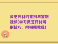 灵芝药材的鉴别与鉴别视频(学习灵芝药材辨别技巧，附视频教程)