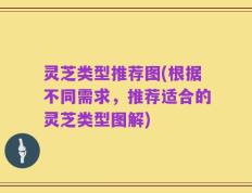 灵芝类型推荐图(根据不同需求，推荐适合的灵芝类型图解)