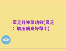 灵芝野生菌功效(灵芝：解压瘦身好帮手)