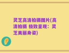 灵芝高清拍摄图片(高清拍摄 极致呈现：灵芝美丽身姿)