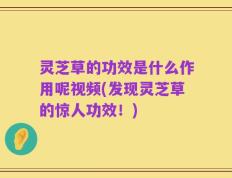 灵芝草的功效是什么作用呢视频(发现灵芝草的惊人功效！)