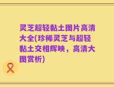 灵芝超轻黏土图片高清大全(珍稀灵芝与超轻黏土交相辉映，高清大图赏析)