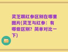 灵芝跟红参区别在哪里图片(灵芝与红参：有哪些区别？简单对比一下)