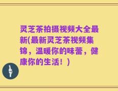 灵芝茶拍摄视频大全最新(最新灵芝茶视频集锦，温暖你的味蕾，健康你的生活！)
