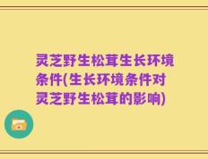 灵芝野生松茸生长环境条件(生长环境条件对灵芝野生松茸的影响)