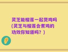 灵芝能榴莲一起煲鸡吗(灵芝与榴莲合煮鸡的功效你知道吗？)