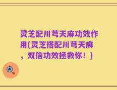 灵芝配川芎天麻功效作用(灵芝搭配川芎天麻，双倍功效拯救你！)