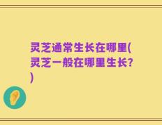 灵芝通常生长在哪里(灵芝一般在哪里生长？)