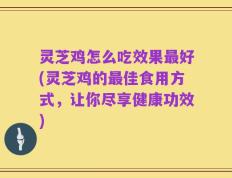 灵芝鸡怎么吃效果最好(灵芝鸡的最佳食用方式，让你尽享健康功效)