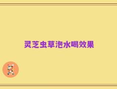 灵芝虫草泡水喝效果
