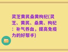 灵芝黄芪桑黄枸杞(灵芝、黄芪、桑黄、枸杞：补气养血，提高免疫力的好帮手)
