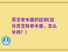 灵芝老木菌的区别(区分灵芝和老木菌，怎么分辨？)