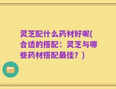 灵芝配什么药材好呢(合适的搭配：灵芝与哪些药材搭配最佳？)
