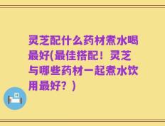 灵芝配什么药材煮水喝最好(最佳搭配！灵芝与哪些药材一起煮水饮用最好？)