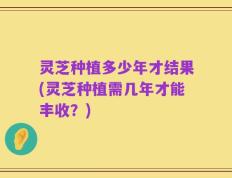 灵芝种植多少年才结果(灵芝种植需几年才能丰收？)