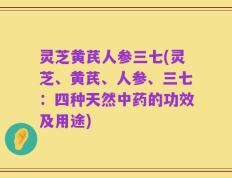 灵芝黄芪人参三七(灵芝、黄芪、人参、三七：四种天然中药的功效及用途)