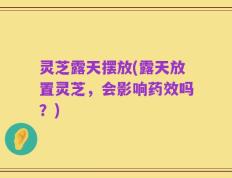 灵芝露天摆放(露天放置灵芝，会影响药效吗？)