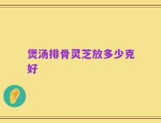 煲汤排骨灵芝放多少克好