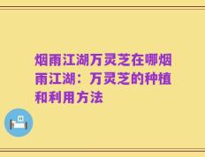 烟雨江湖万灵芝在哪烟雨江湖：万灵芝的种植和利用方法