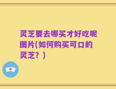 灵芝要去哪买才好吃呢图片(如何购买可口的灵芝？)