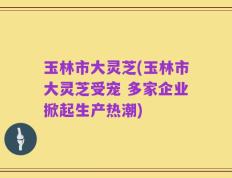 玉林市大灵芝(玉林市大灵芝受宠 多家企业掀起生产热潮)