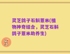 灵芝鸽子石斛薏米(植物神奇组合，灵芝石斛鸽子薏米助养生)