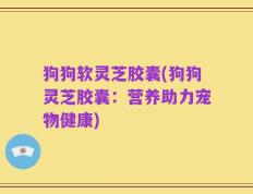 狗狗软灵芝胶囊(狗狗灵芝胶囊：营养助力宠物健康)