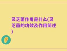 灵芝菌作用是什么(灵芝菌的功效及作用简述)