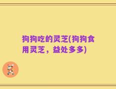 狗狗吃的灵芝(狗狗食用灵芝，益处多多)