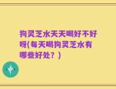 狗灵芝水天天喝好不好呀(每天喝狗灵芝水有哪些好处？)