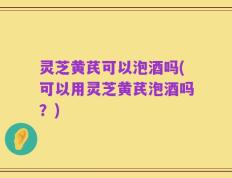 灵芝黄芪可以泡酒吗(可以用灵芝黄芪泡酒吗？)