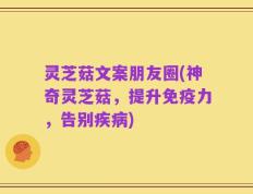 灵芝菇文案朋友圈(神奇灵芝菇，提升免疫力，告别疾病)