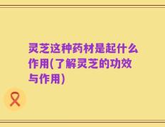 灵芝这种药材是起什么作用(了解灵芝的功效与作用)