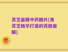 灵芝面膜中药图片(用灵芝精华打造的亮肤面膜)
