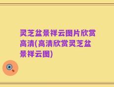 灵芝盆景祥云图片欣赏高清(高清欣赏灵芝盆景祥云图)