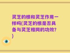 灵芝的根和灵芝作用一样吗(灵芝的根是否具备与灵芝相同的功效？)